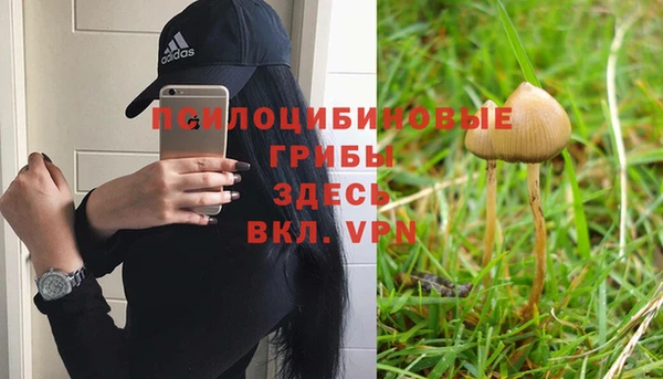 кристаллы Нея