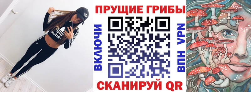 где можно купить наркотик  Тюмень  Галлюциногенные грибы ЛСД 