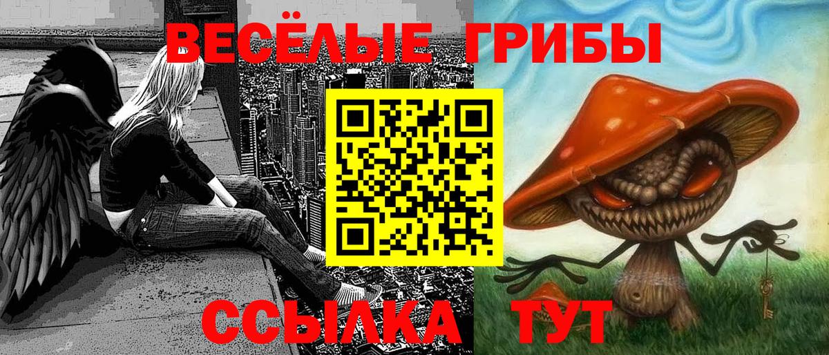 Псилоцибиновые грибы Cubensis Тюмень