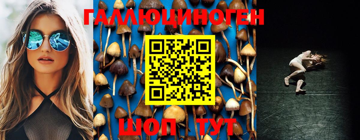 Тюмень  Псилоцибиновые грибы GOLDEN TEACHER  Вход с VPN 