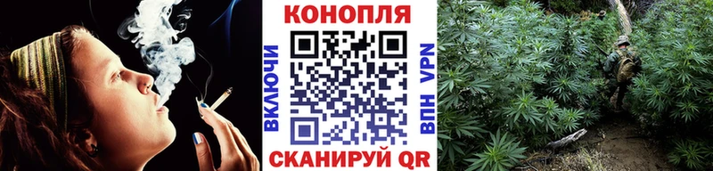 Бошки марихуана планчик Тюмень
